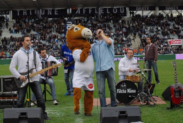 Animation musicale d'avant match Aviron Bayonnais Castres